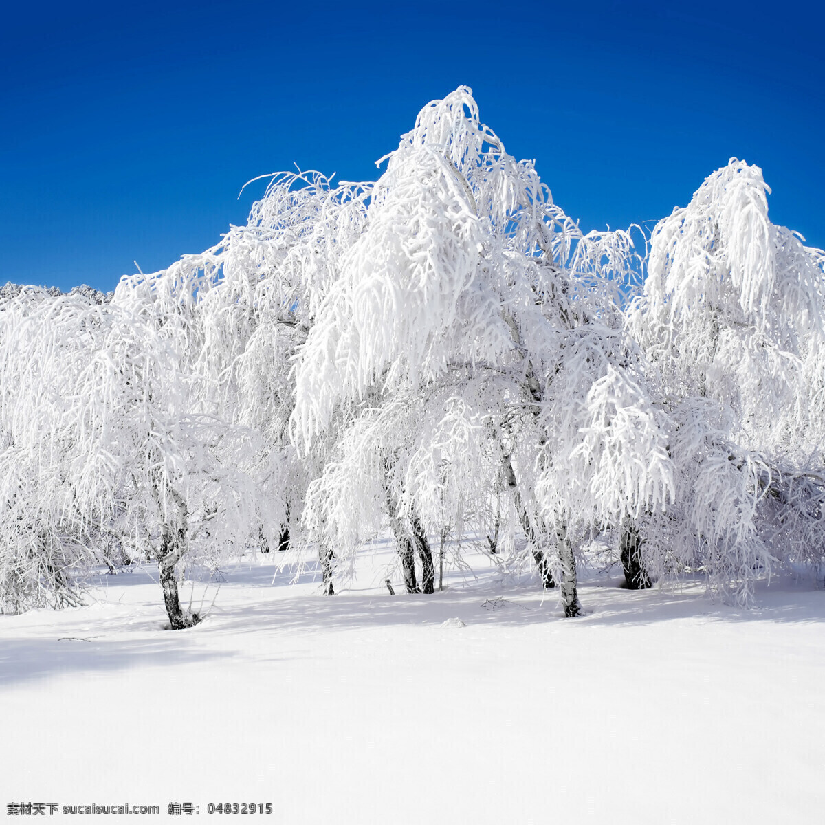 冬天雪景 冬季 冬天 雪景 美丽风景 景色 美景 积雪 雪地 森林 树木 自然风景 自然景观 白色