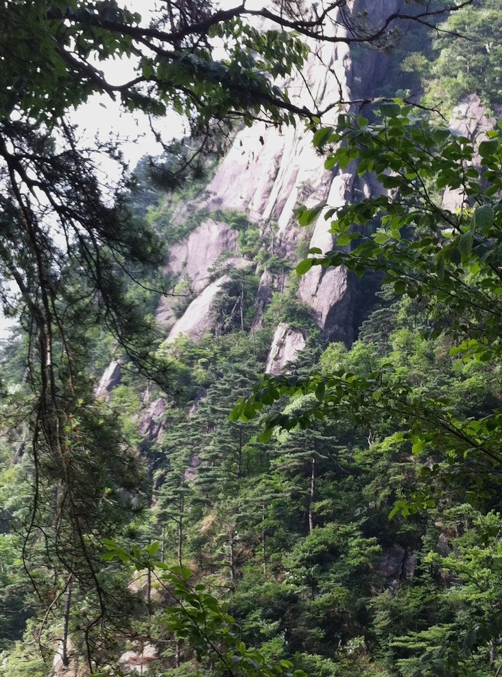 黄山近景 黄山 远山 绿树 松树 自然风景 旅游摄影