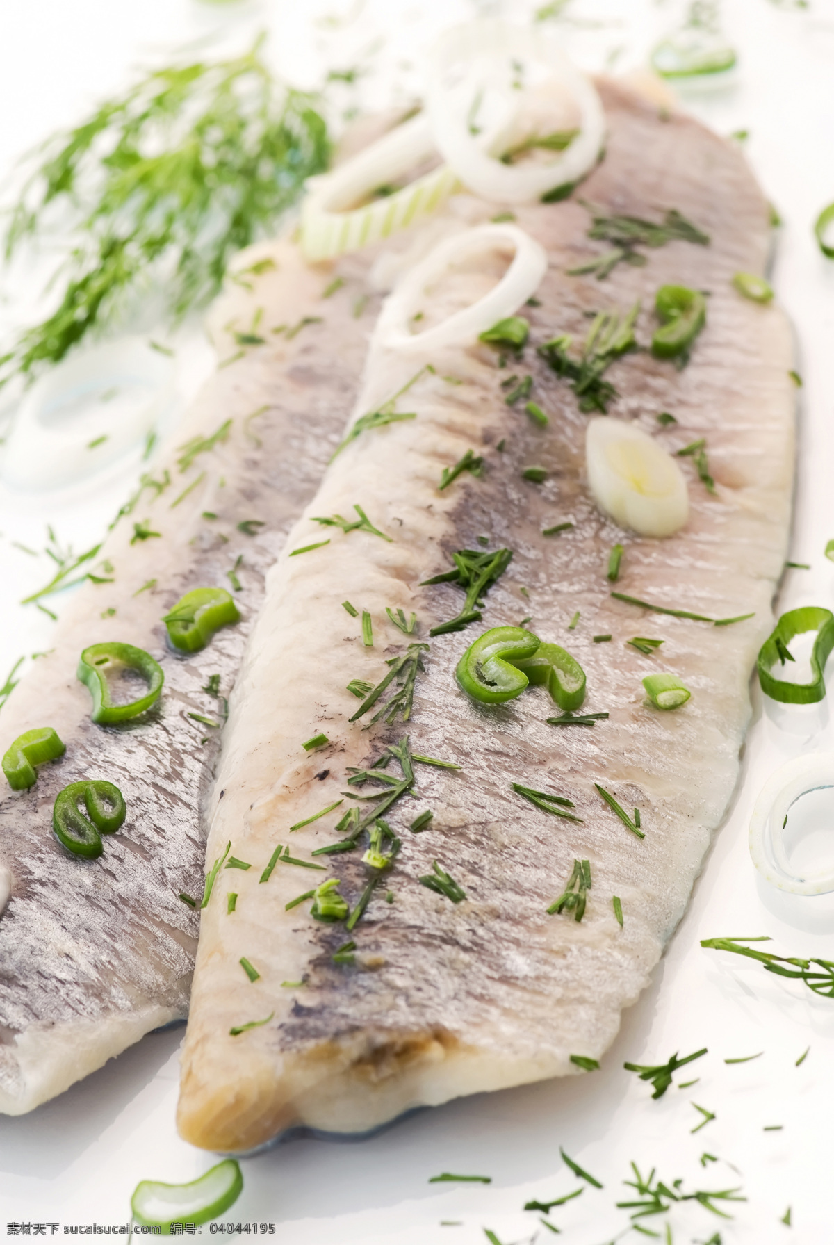 新鲜鱼 鱼肉 鱼类 海鲜 食材 食材原料 餐饮美食 白色