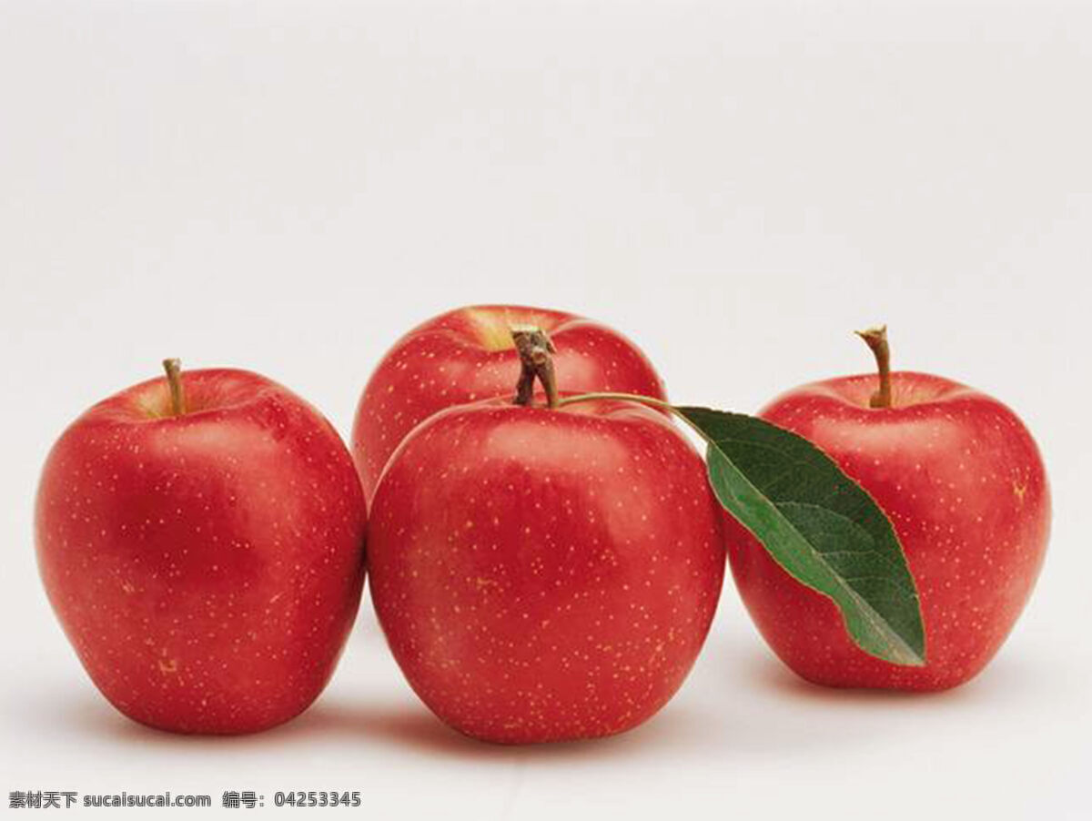 水果苹果图片 苹果 水果苹果 苹果采摘 果子 苹果图片