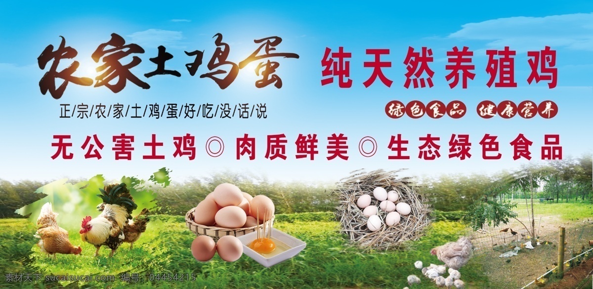 农家土鸡蛋 纯天然养殖鸡 土鸡 土鸡蛋 纯天然 海报 展板