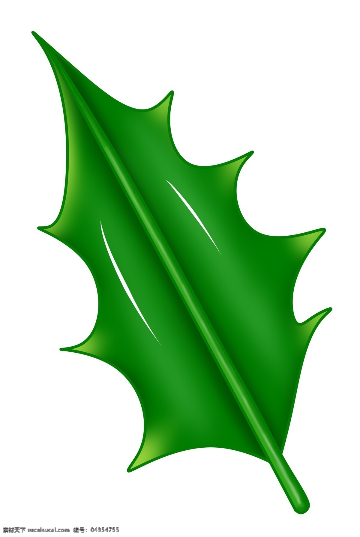 绿色叶子装饰 绿色 热带 植物