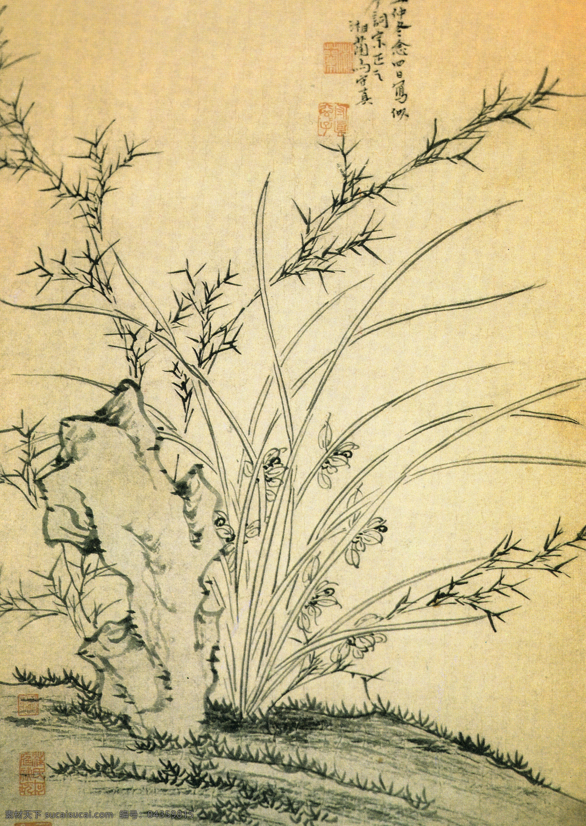 花草水墨画 水墨画 花草 古画 黄色