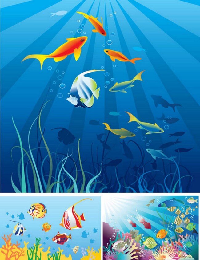 漂亮 蓝色 海洋 背景 图 广告背景 广告 背景素材 素材免费下载 鱼类 海底 生物