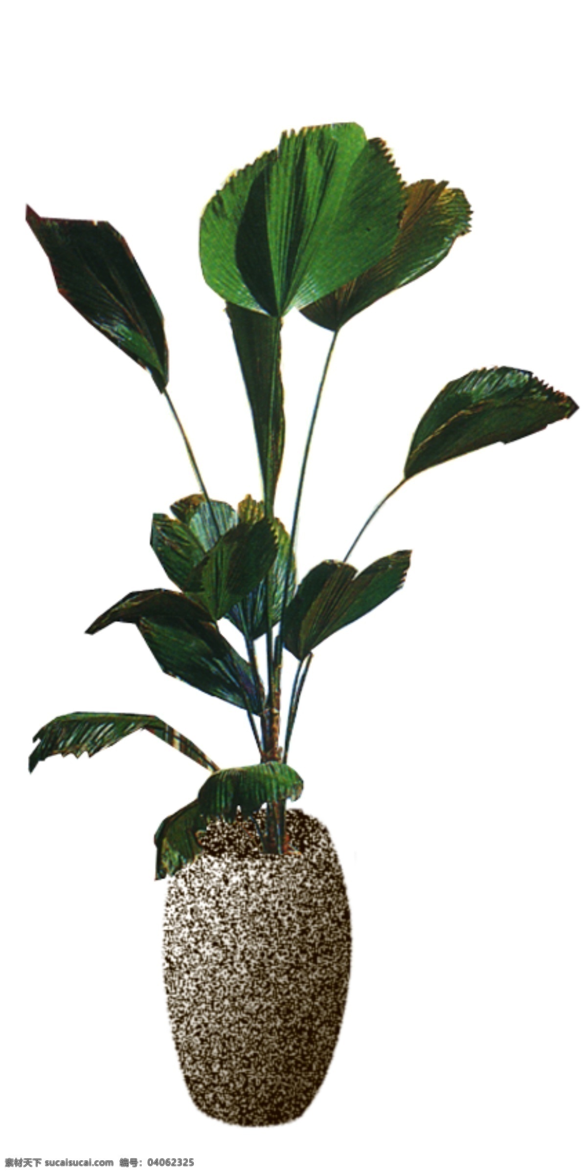 室内 植物 花草装饰 室内植物 装饰素材 室内装饰用图