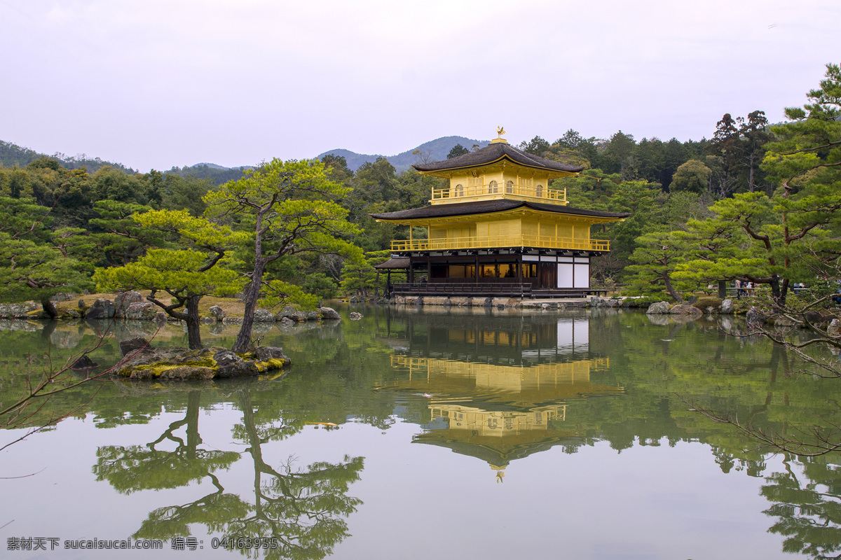 美丽 日本 金阁 寺 高清 景点 绿叶 著名景点 寺庙 古建筑