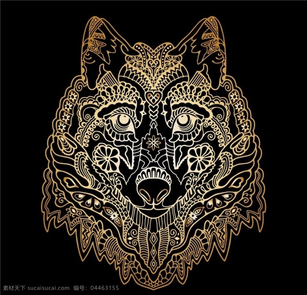 野狼 狼头 猛兽 保护动物 野生动物 生物世界
