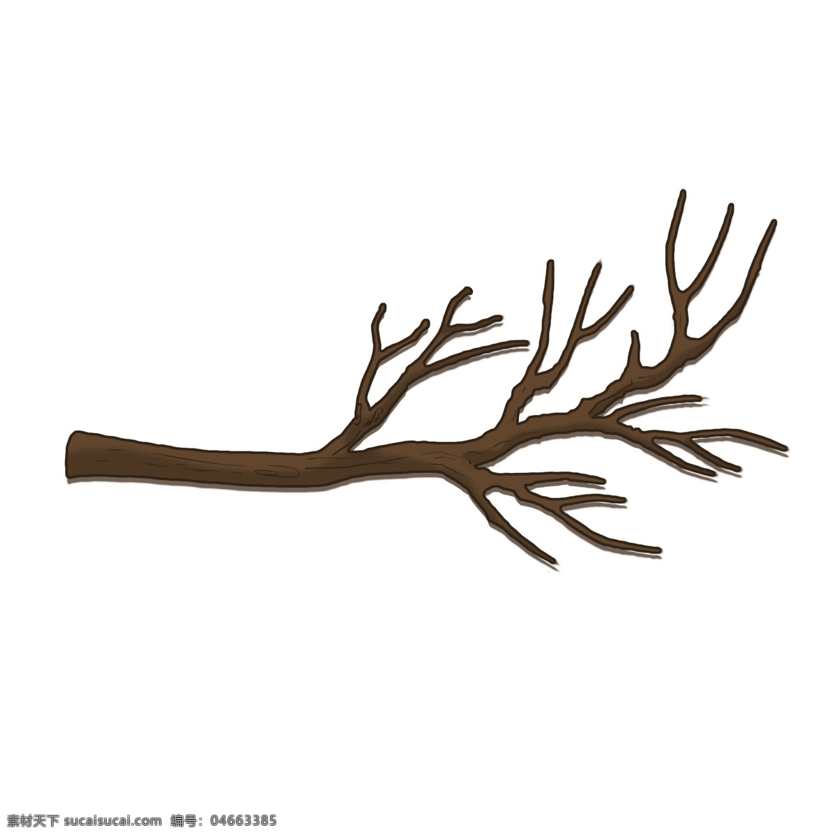 卡通 手绘 枯树枝 图 png格式 树枝 可爱的树枝 单独的 扁平化的 冬季 psd文件