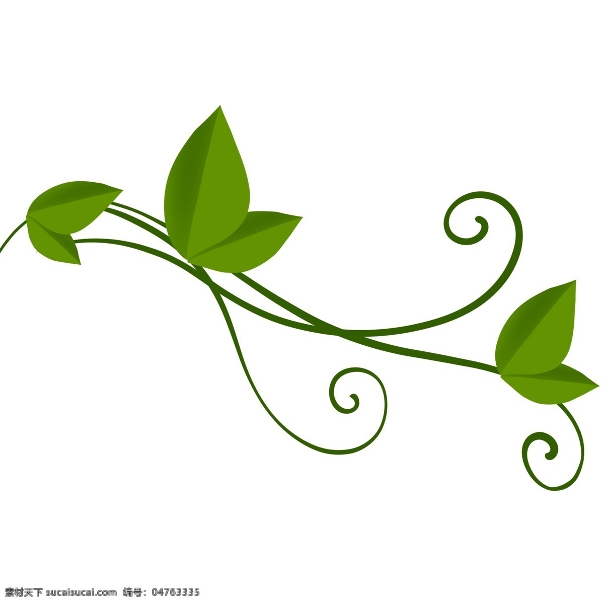 蔓藤 绿色植物 叶子 蔓藤叶子 嫩芽 美丽 植物 中药 墨绿 天然 大自然 草本植 装饰 贴画