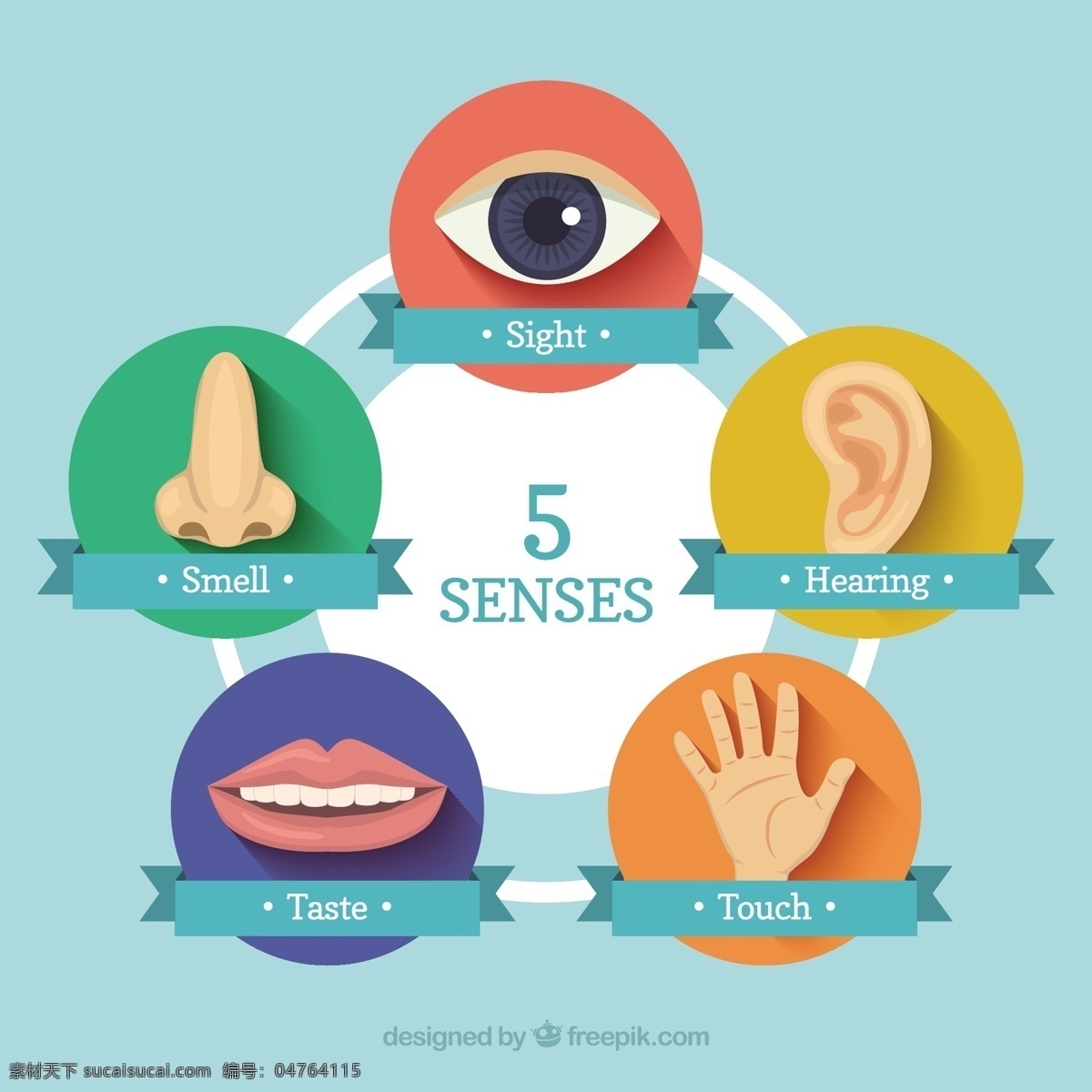 五 种 感官 图标 图示 手 眼睛 人 口腔 牙齿 耳朵 人体 手图示 触摸 噪音 手指 嗅觉 零件 听觉 味觉 身体部位 青色 天蓝色