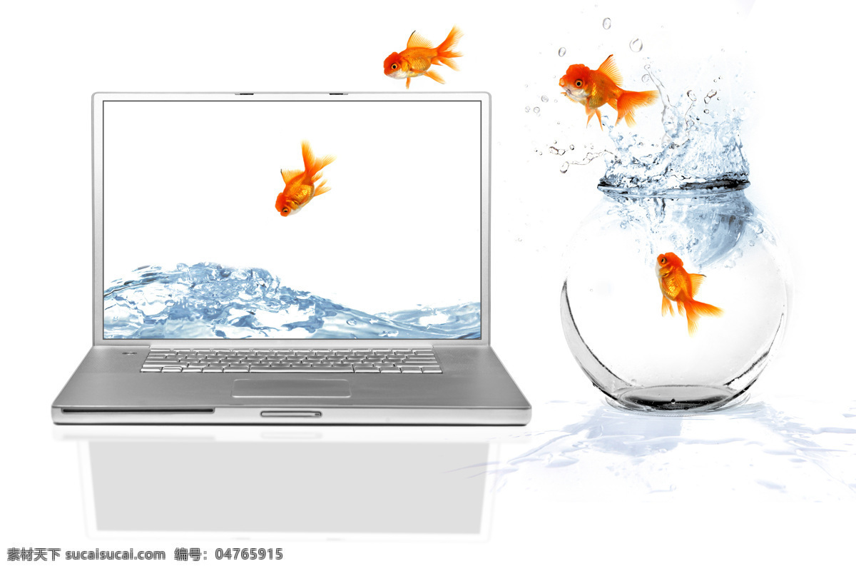 金鱼 手提电脑 电脑 水 鱼缸 水花 鱼 水中生物 生物世界 白色