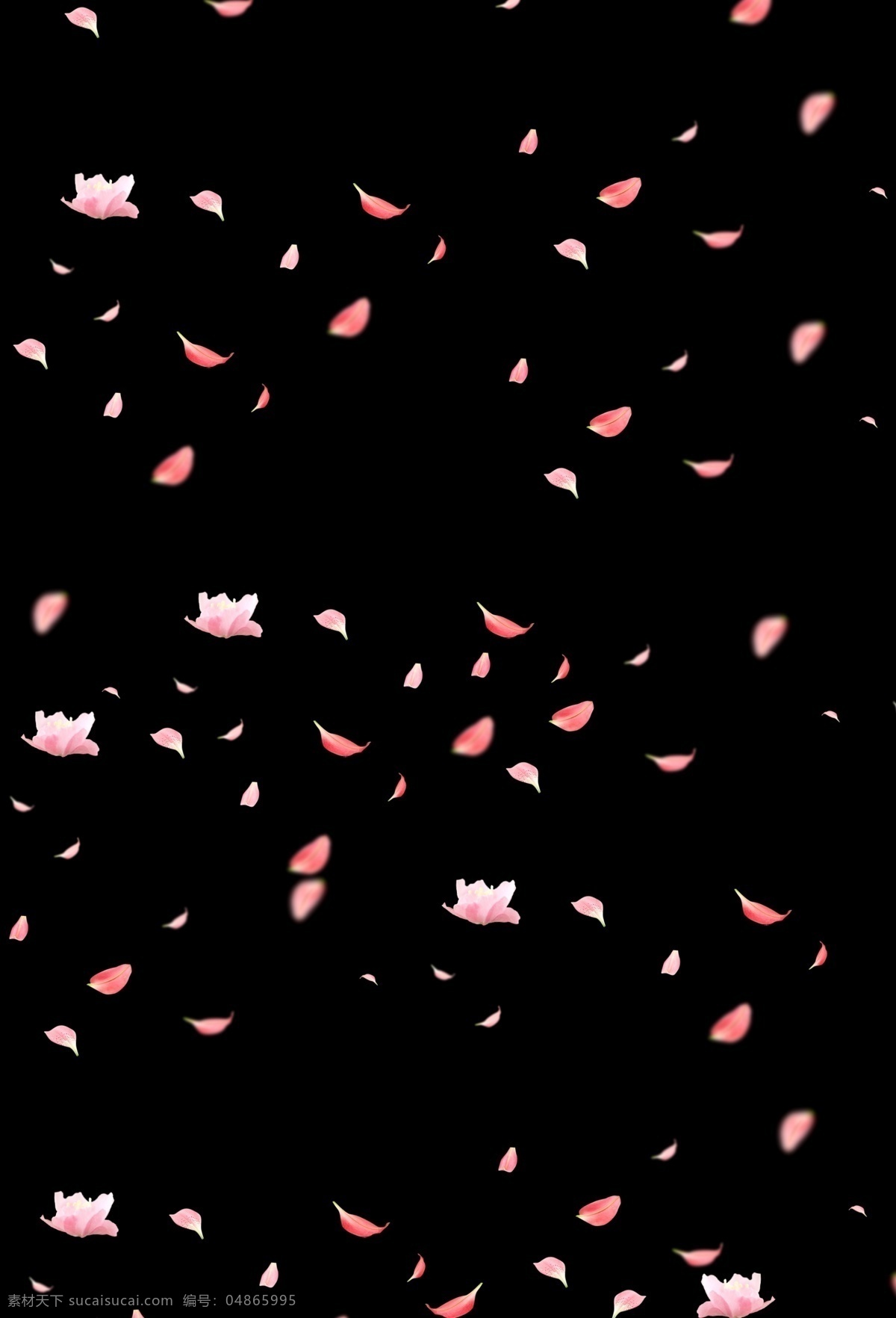 花瓣素材 花瓣元素 花瓣背景 花朵 花朵素材 花朵元素 花朵背景 花朵花瓣 玫瑰花瓣 玫瑰花朵 矢量花瓣 矢量花朵 卡通花瓣 卡通花朵 粉色花瓣 粉色花朵 红色花瓣 红色花朵 小花瓣 玫瑰花 粉色玫瑰花 情人节花瓣