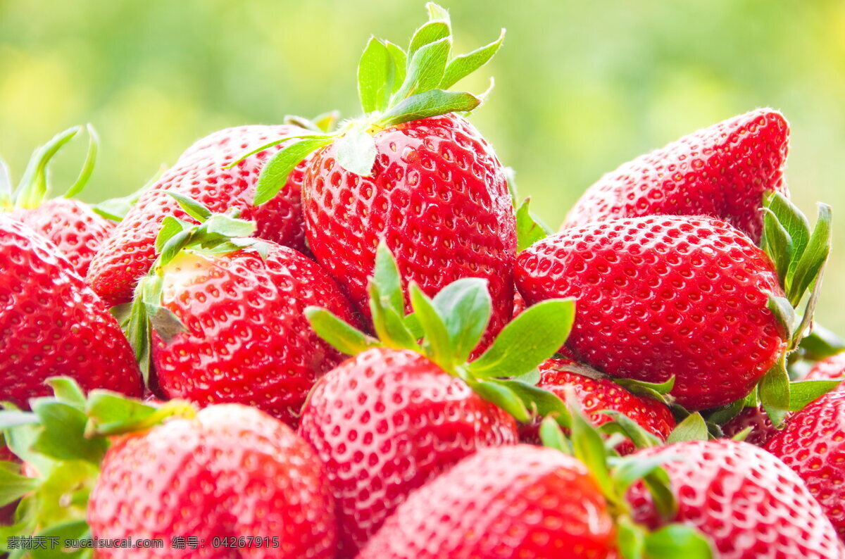 鲜草莓 红草莓 新鲜 草莓 红色草莓 新鲜草莓 红色 新鲜水果 可口 多汁 脆甜 美味 美食 食物 食品 水果 蔬菜 果蔬 生物世界