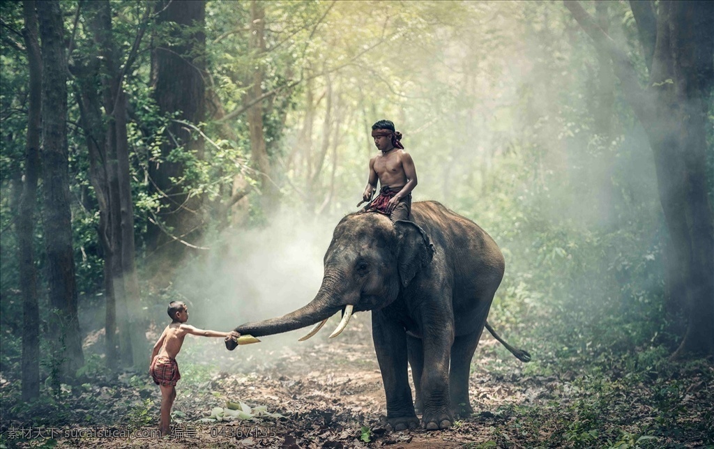人与动物 大象 小孩 动物 泰国 友善 动物与人 微妙的感觉 旅游摄影 国外旅游