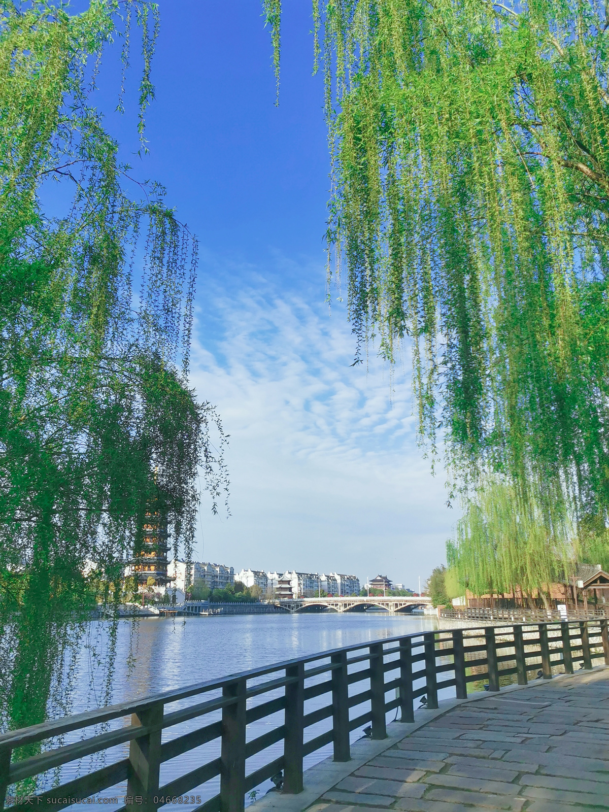 柳树 河水 河岸 植物 春天 绿色 蓝天 蓝色 天空