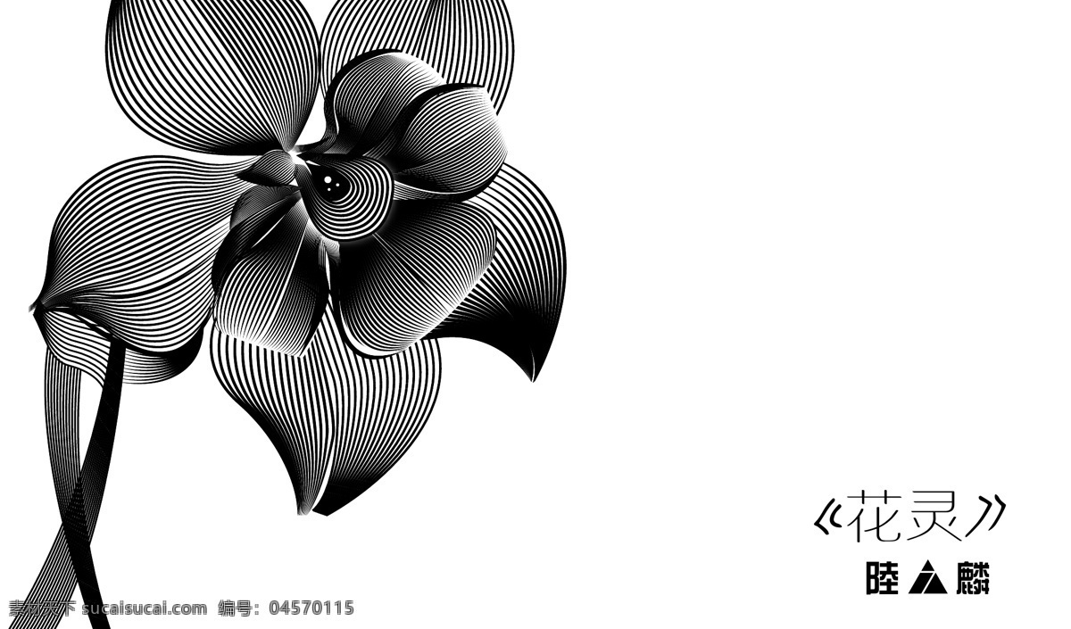 花朵装饰图案 花朵 美丽 钢笔 线条 黑白