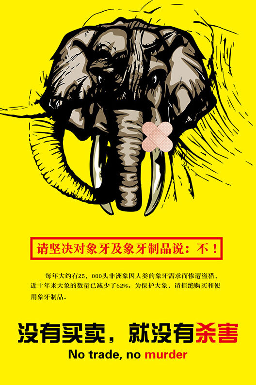 拒绝 象牙 制品 保护 大象 公益 广告 设 计 下 载 没有 买卖 杀害 海报 黄色