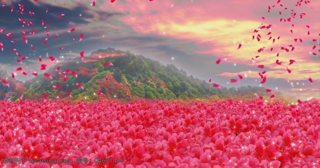 花海 led 视频 主题背景 唯美视频 红色花 大气背景 喜庆视频 多媒体 flash 动画 动画素材 mp4