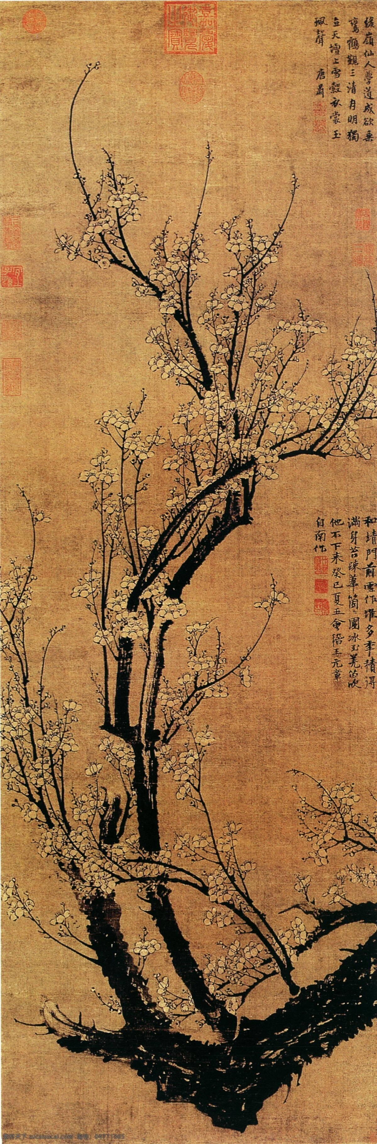 中国 传世 名画 花鸟画 梅花 中国传世名画 古典花鸟画 文化艺术