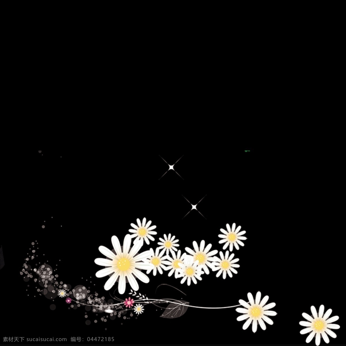 简约黑色背景 花朵 白色花朵 花朵背景 黑色背景 梦幻