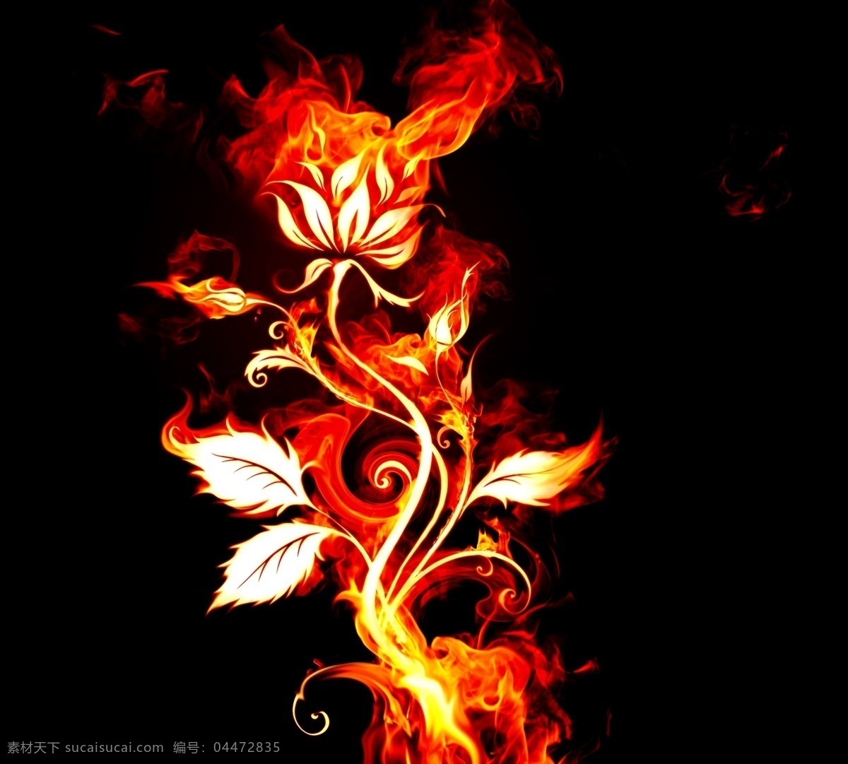燃烧的花朵 燃烧 火焰 花朵 分层 源文件库