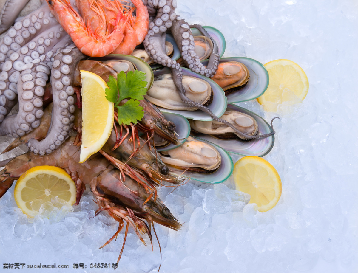 冰块上的海鲜 海鲜 冰块 海产品 柠檬 大虾 虾 蚌 鲍鱼 章鱼 海味 食物 海虹 食材 美食 鲜美的食物 高清图片 海鲜大咖 餐饮美食 食物原料