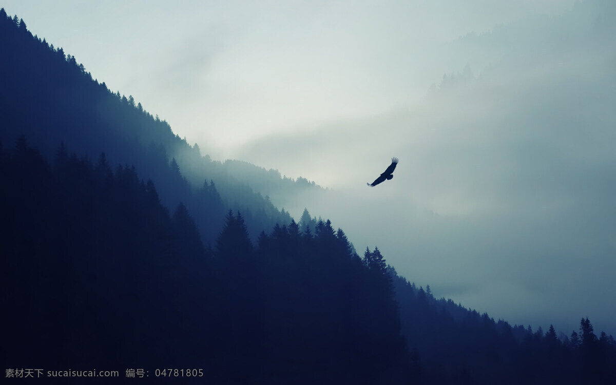 山鹰 山 鹰 云雾 水墨 意境 自然景观 山水风景