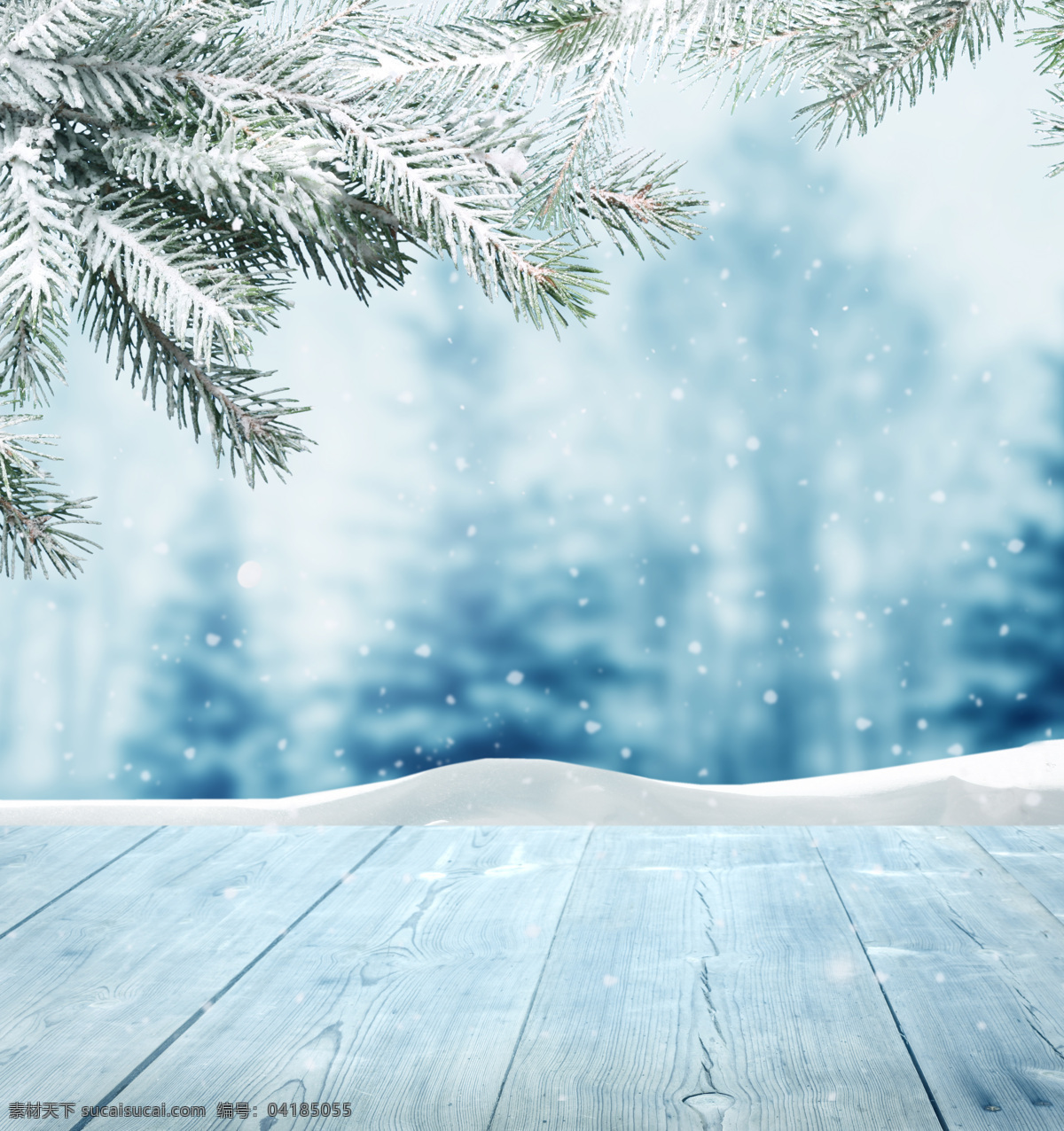 树枝 下 木板 植物 白雪 雪地 雪景 山水风景 风景图片