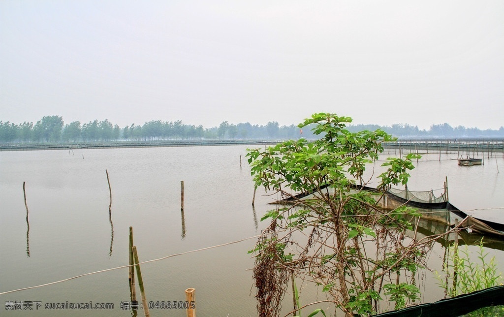 鱼塘 池塘 水池 树 网 养鱼 水面 农村 fenghc 田园篇 田园风光 自然景观