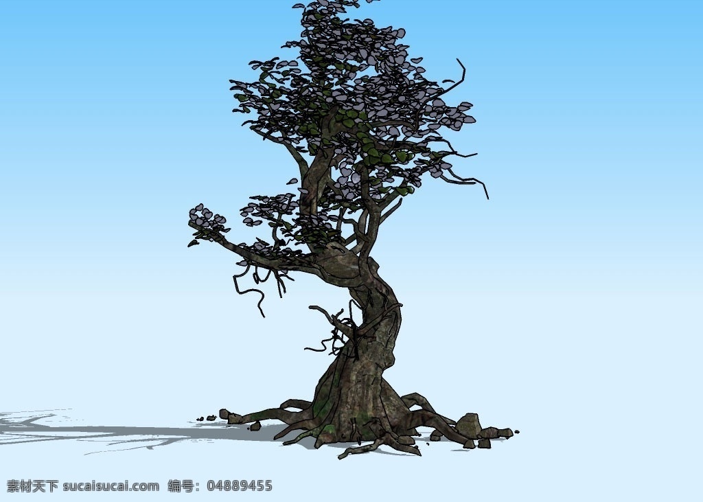 老树3d模型 树根 树蔸 树干 树枝 树叶 植物 三维 立体 造型 装饰 精模 skp 精品 3d 模型 3d设计 其他模型