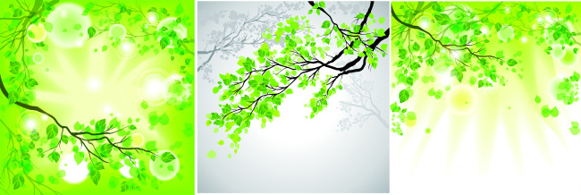 矢量树叶 矢量 树叶 树枝 阳光 背景素材 点缀 绿树 卡通 卡通设计 绿色