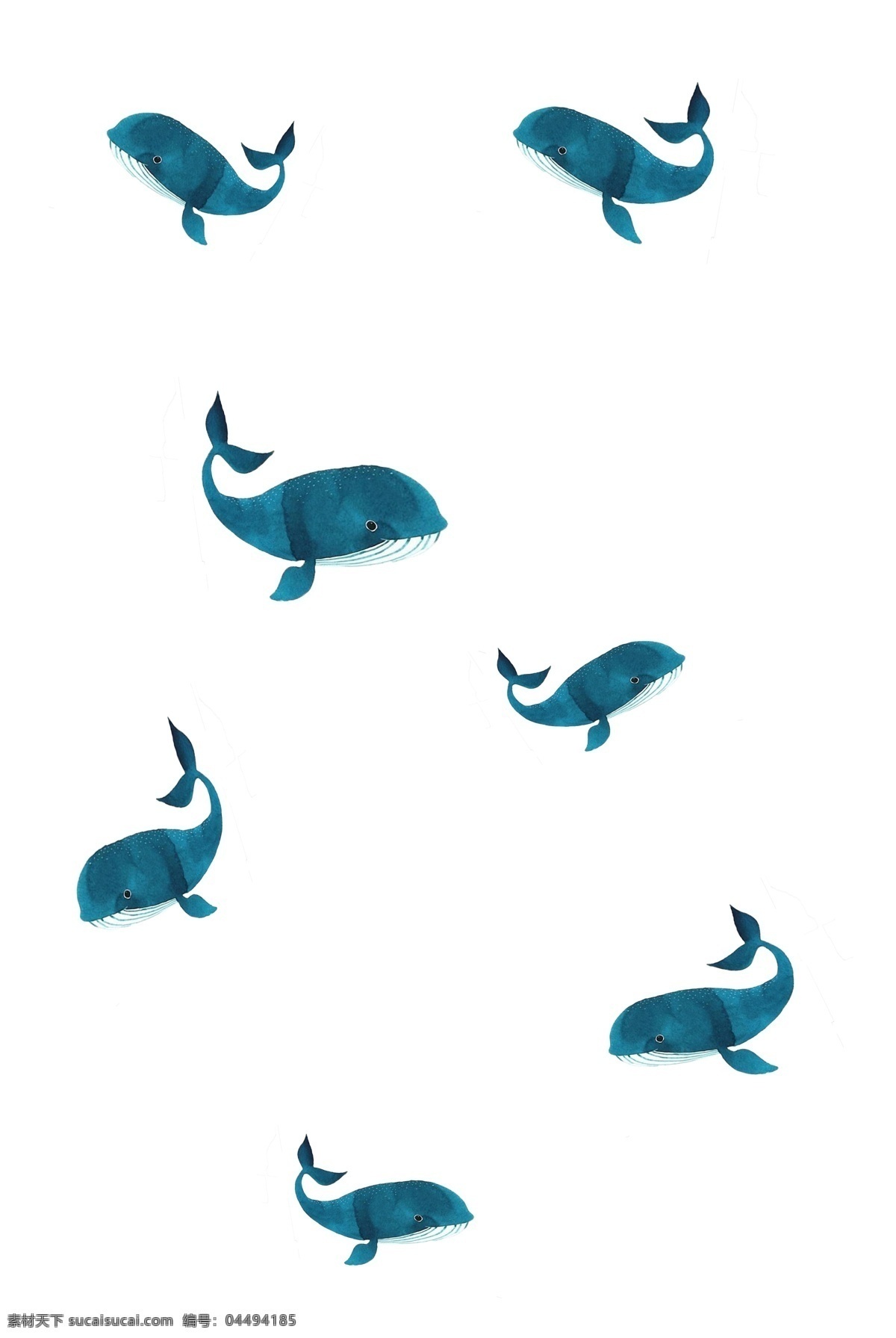 手绘 生动 鲸鱼 漂浮 唯美 创意png 手绘png 简约png 大气png 生动png 淡雅png 用于 学习交流 画报制作 装饰等