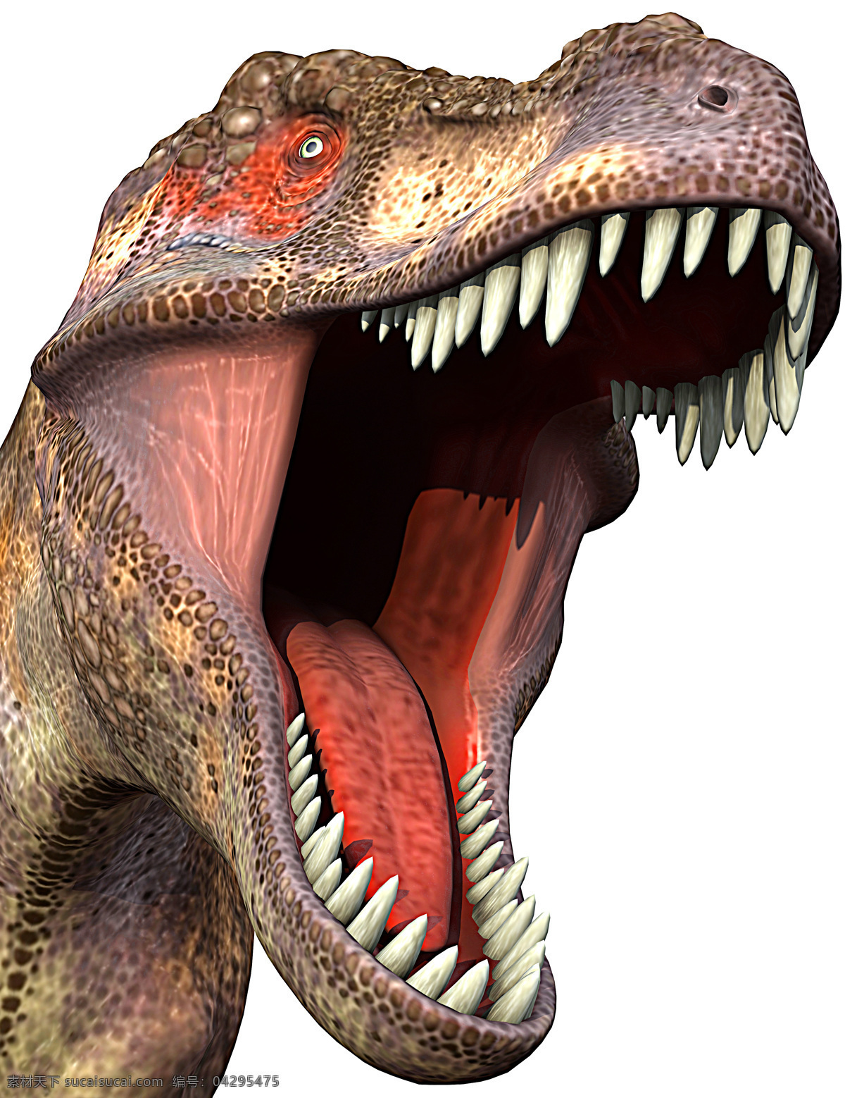 张开 大 嘴 霸王龙 头部 特写 张嘴 恐龙 3d动画 侏罗纪 侏罗纪公园 陆地动物 生物世界 白色