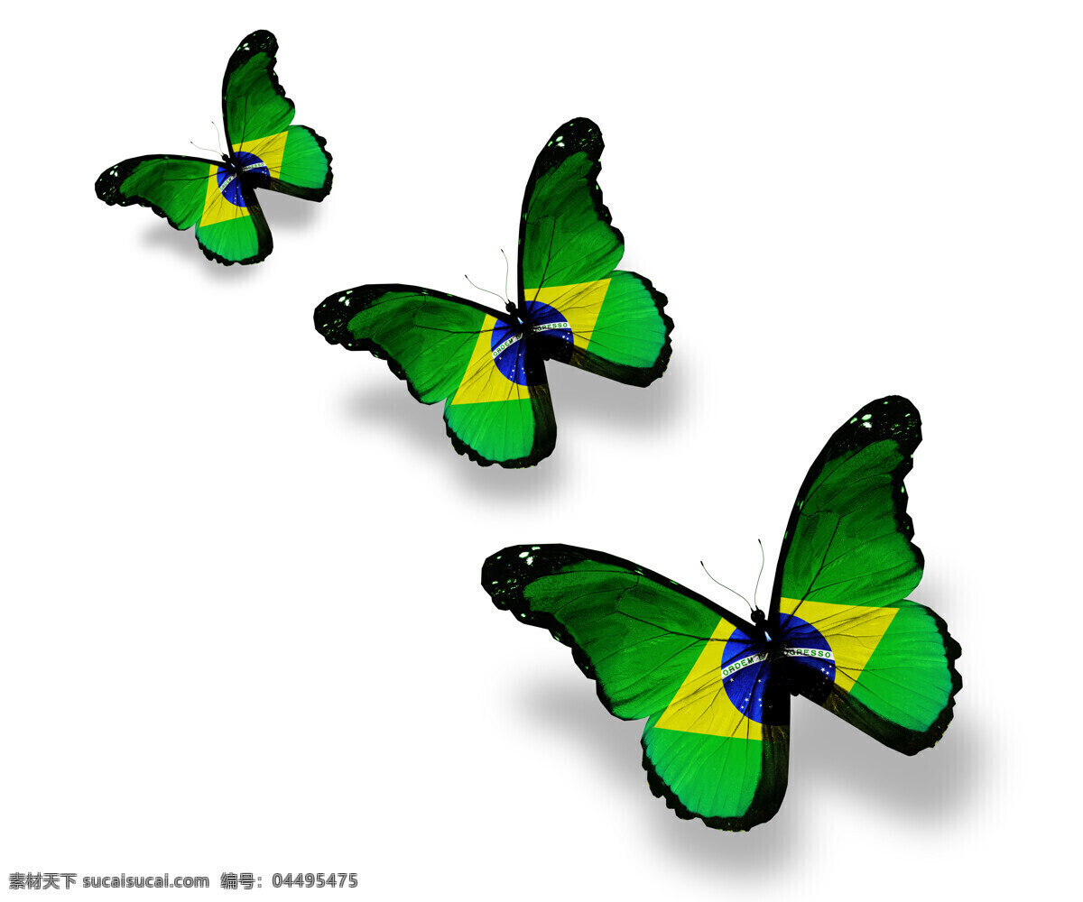 巴西 国旗 蝴蝶 巴西国旗 美丽蝴蝶 漂亮蝴蝶 昆虫动物 国旗图片 生活百科
