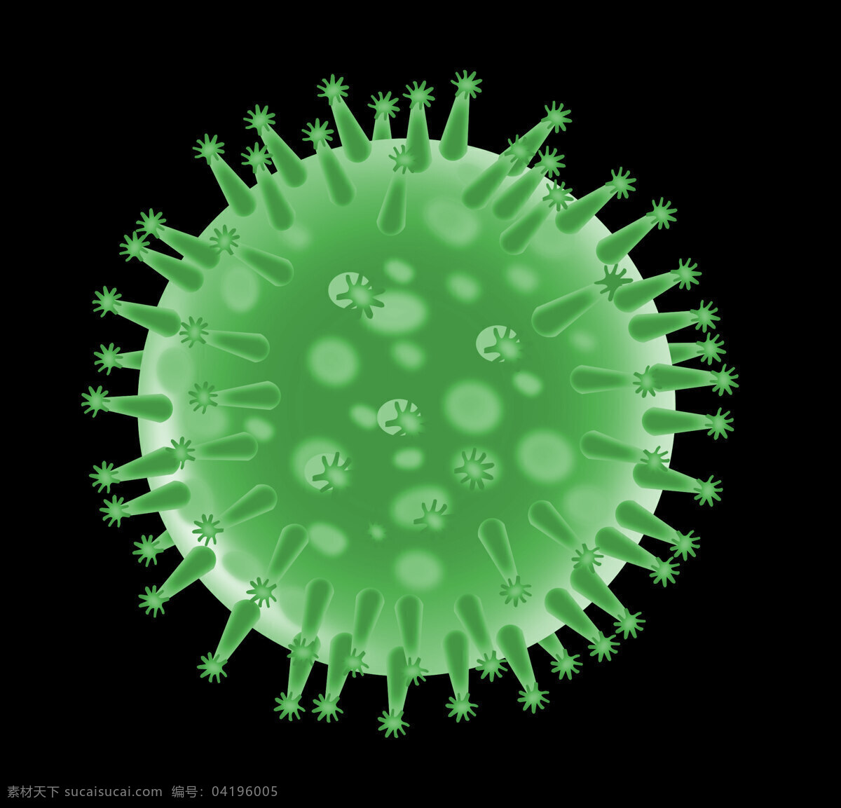 流感 病毒 结构 流感病毒结构