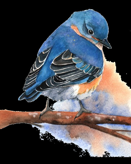 可爱 精灵 蓝色 小鸟 装饰 元素 动物 可爱小鸟 蓝色小鸟 树枝 装饰元素