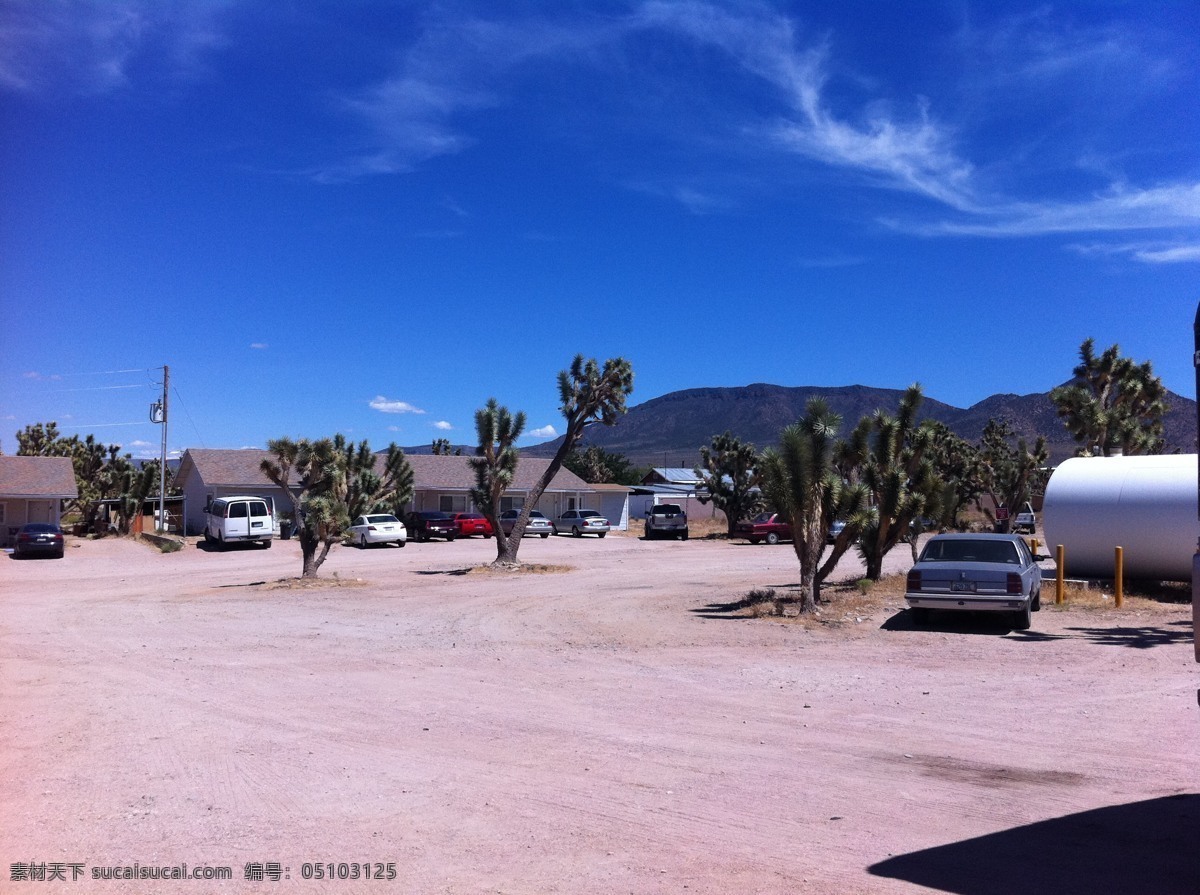 美国 西部 荒漠 地区 沙漠 针状植物 蓝天 美国旅游 国外旅游 旅游摄影