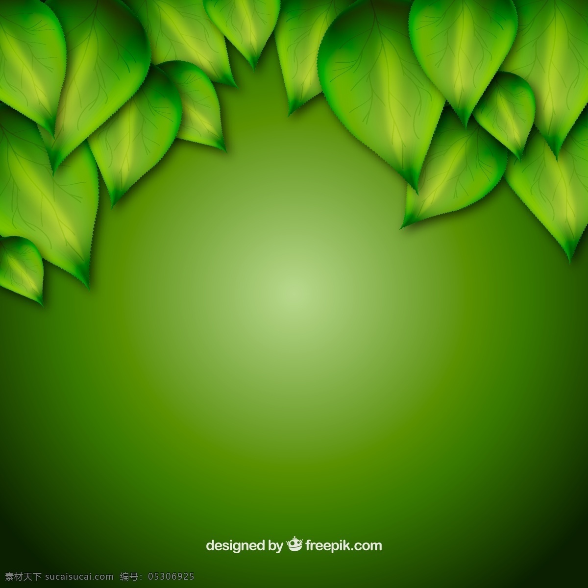 精美 绿叶 装饰 背景 矢量图 生命力 绿色