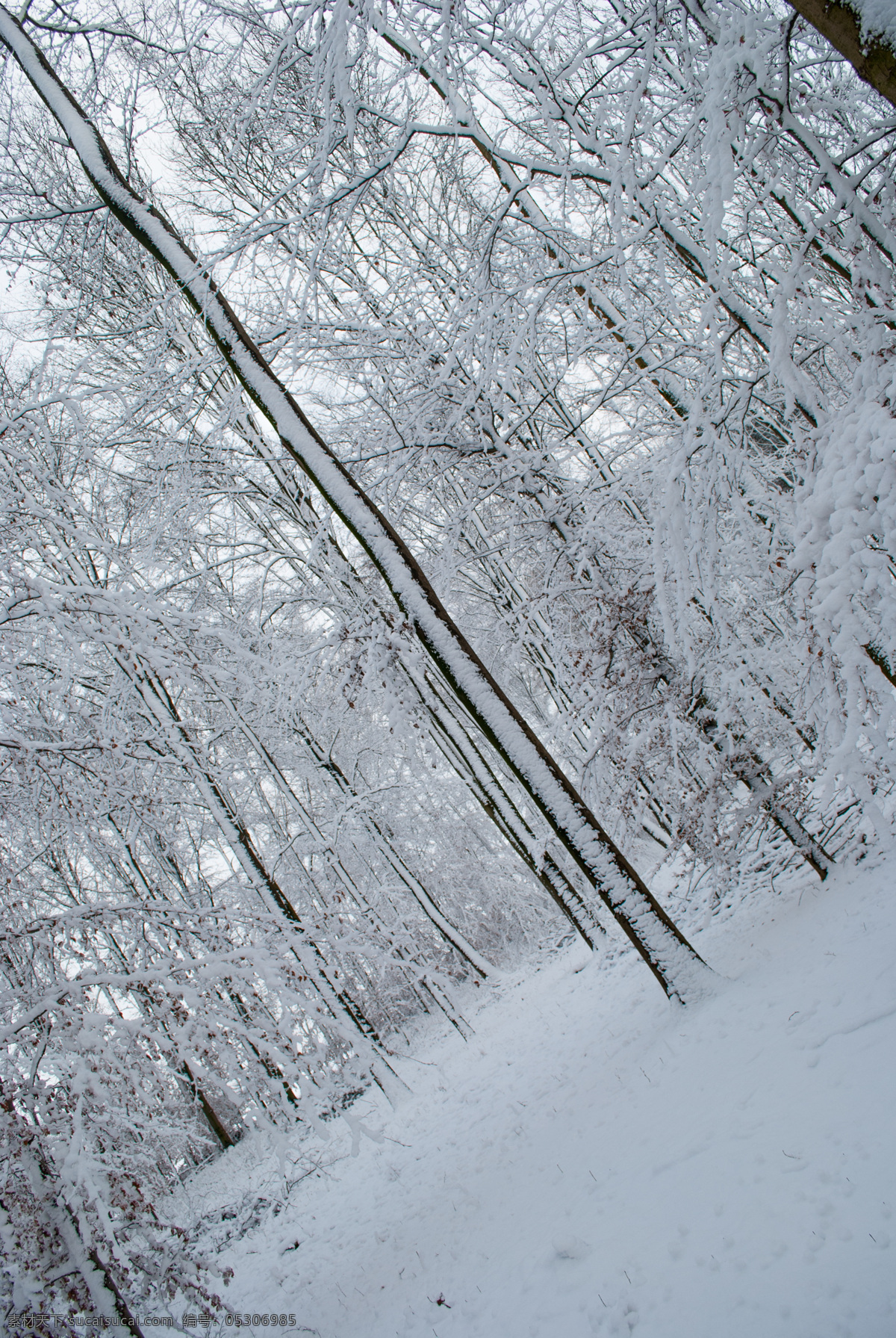 雪景 股票 ps笔刷