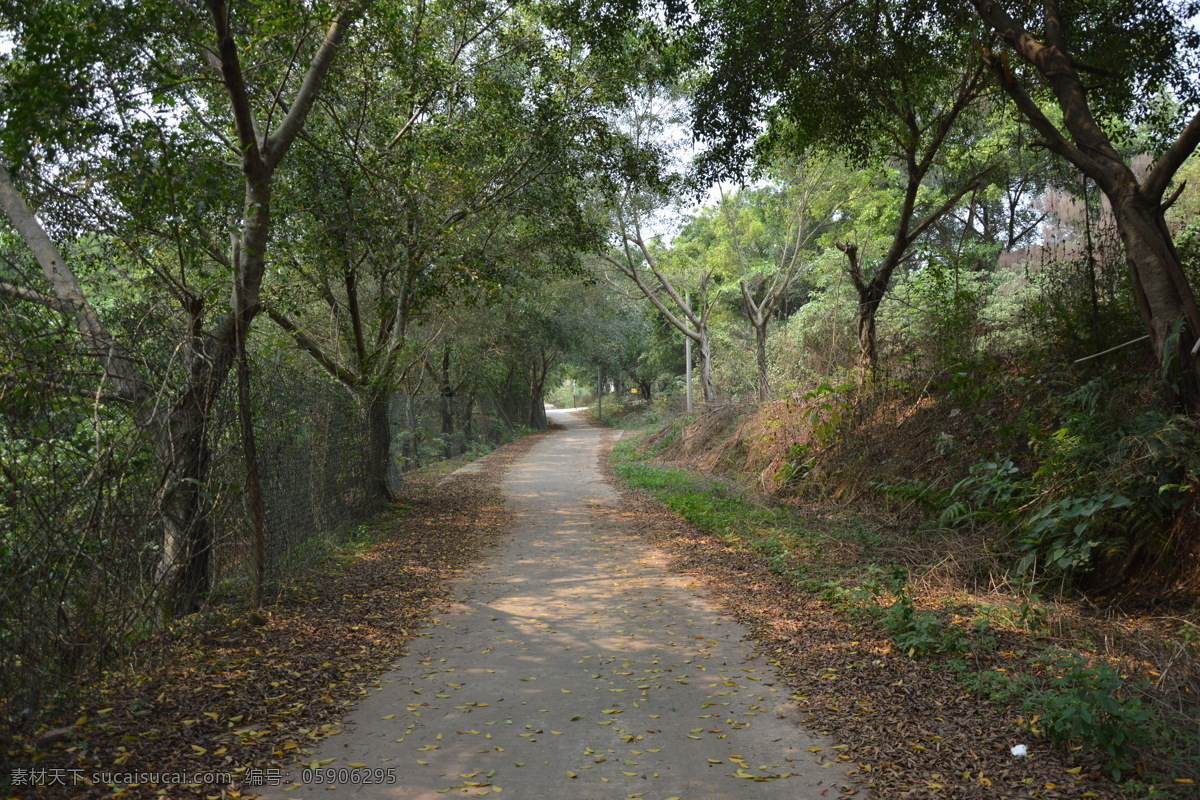 小区环境 小区景观 小区广场 休闲广场 椰树 园林建筑集锦 建筑园林 园林建筑