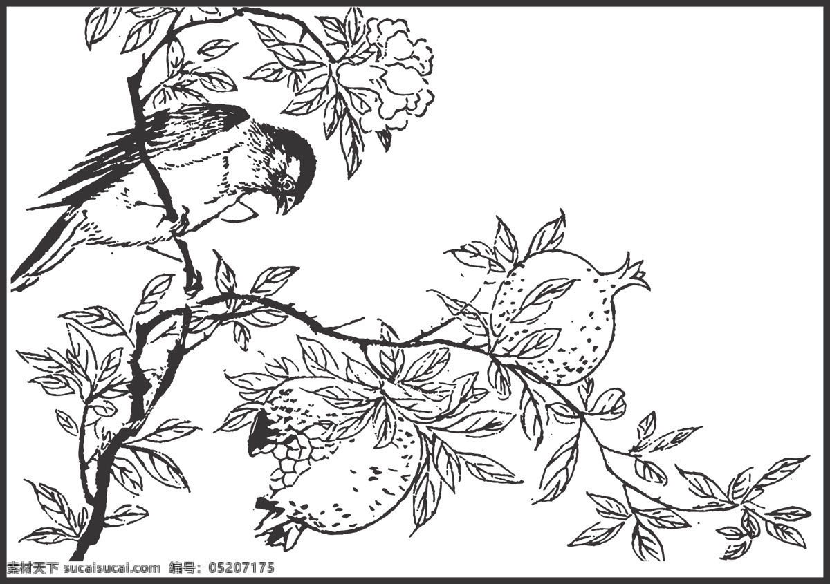 鸟与石榴树 动物 植物 观赏 鸟儿 装饰 线条 矢量 插画 白描 石榴 多子多福 生物世界 鸟类