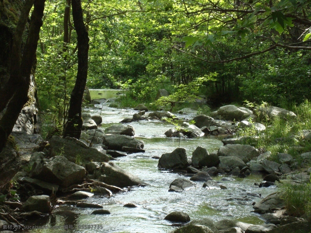 山间小溪 自然风景 山间 小溪 溪水 流水 山水风景 自然景观