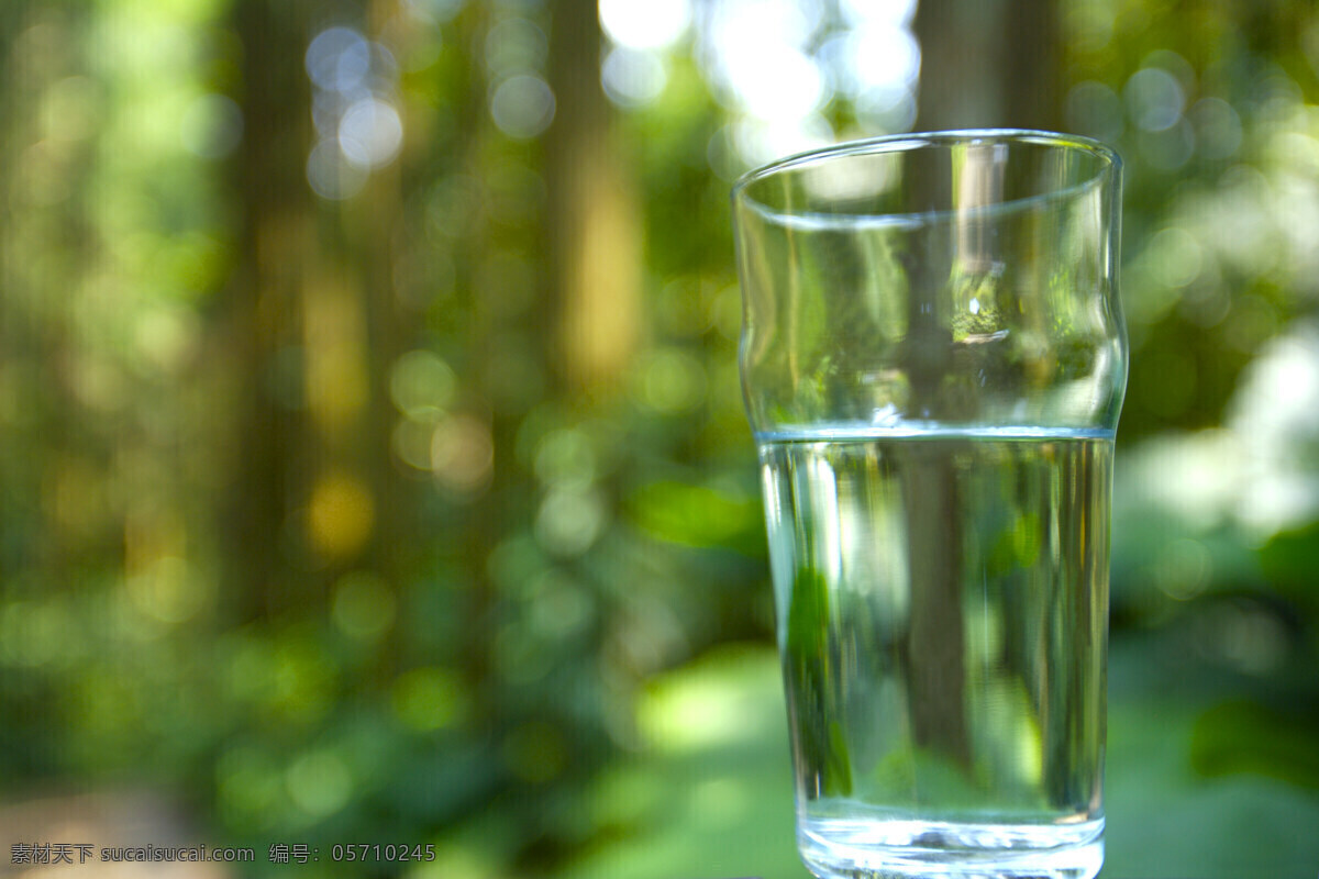 大自然 杯子 自然景观 自然风景 自然 摄影图库 绿色