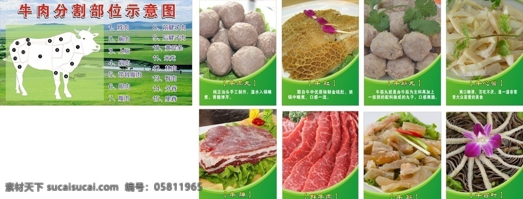 潮汕 牛肉 丸 墙面 画 潮汕牛肉丸 牛的结构 牛肚 牛杂 牛筋 牛肚光 牛百叶