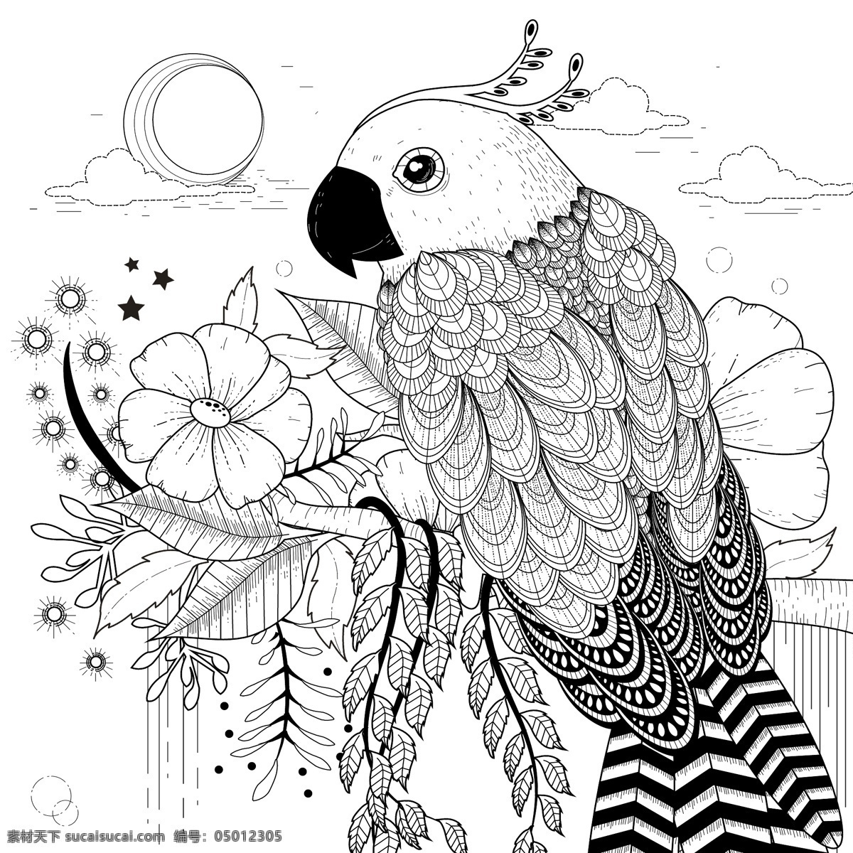 黑白 手绘 鹦鹉 插画 白描 动物 花朵 植物