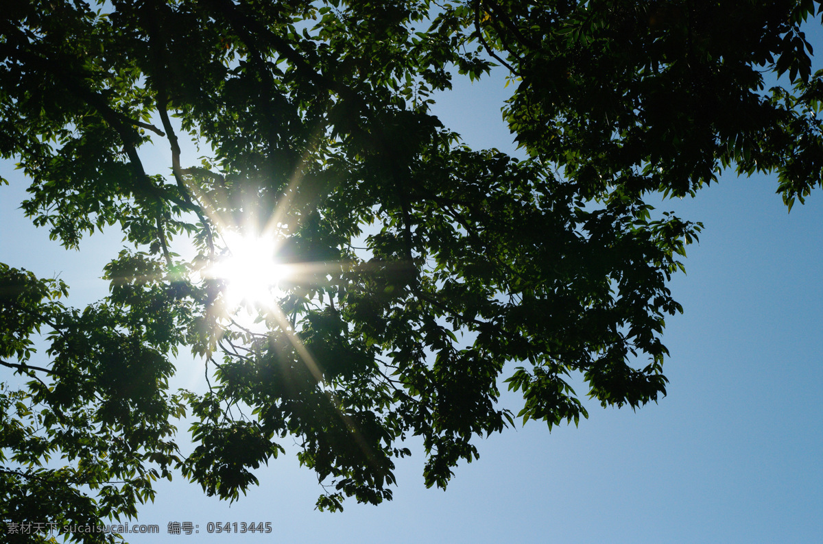 阳光 天空 树荫 太阳 蓝天 大树 绿色树荫 中午太阳 天蓝 月亮 星 自然景观 自然风景