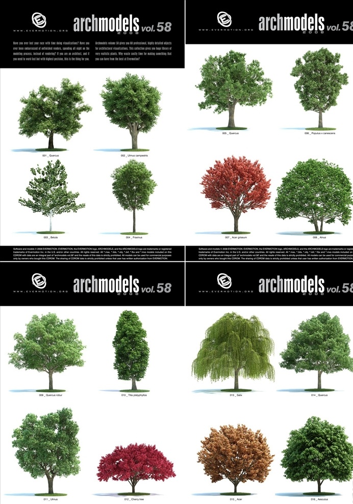 树木模型 白栎树 榆树 桦木 白蜡树 杨树 血皮槭 evermotion archmodel 3d设计 室内模型 max