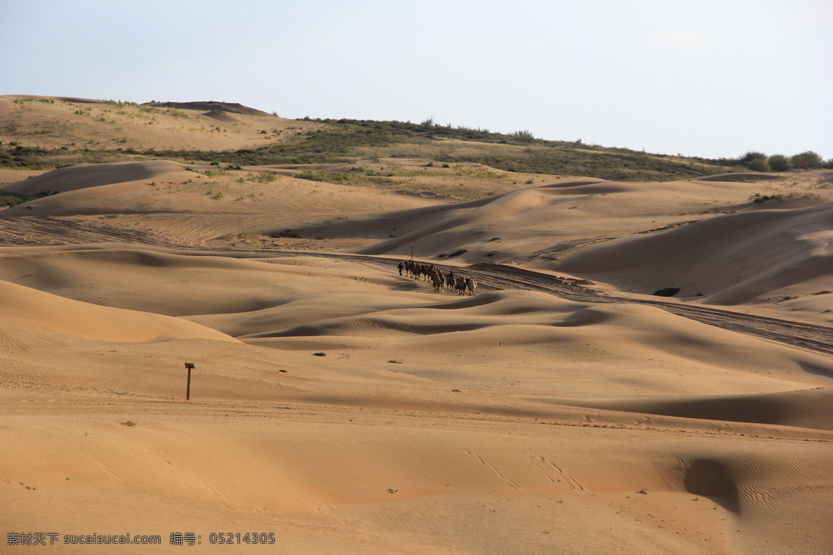 沙漠 黄沙 沙丘 骆驼 驼队 沙漠骆驼 鄂尔多斯沙漠 内蒙古沙漠 沙漠风光 沙漠丽景 库不齐沙漠 内蒙古 鄂尔多斯 达拉特旗 响沙湾 沙漠摄影 沙漠风景 沙子 沙 沙海 高清 旅游 照片 自然景观 风景名胜