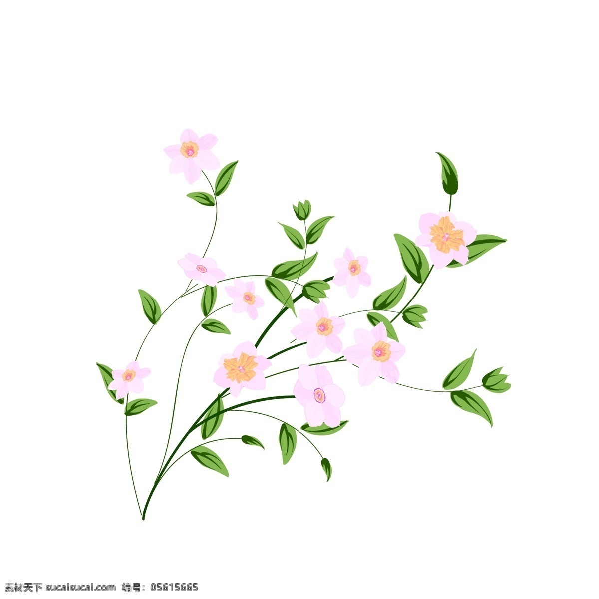 手绘 春天 粉色 花卉 商用 植物 花朵 叶子