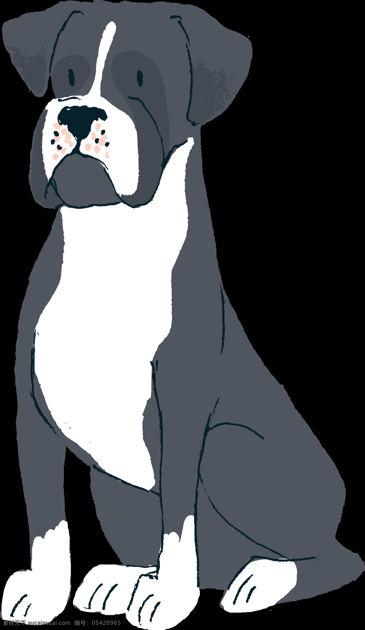 坐 威严 狗 宠物狗 透明 白色 动物 卡通 免扣素材 深灰色 透明素材 装饰图片